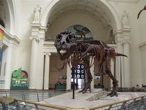 Field Museum Chicago Resident Discount at Mark Ferretti blog