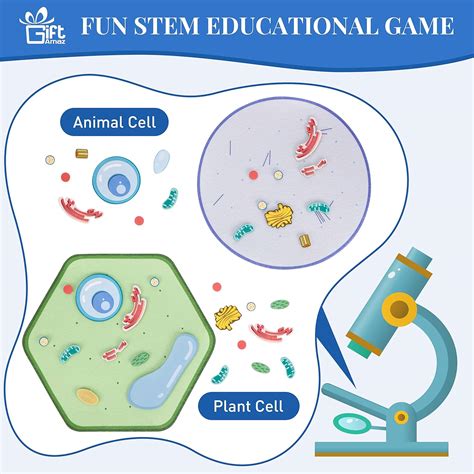 GiftAmaz Animal and Plant Cell Anatomy Model, Soft Felt Toy, India | Ubuy