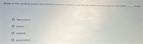 Solved: Areas of the cerebral cortex that interpret sensory impulses ...