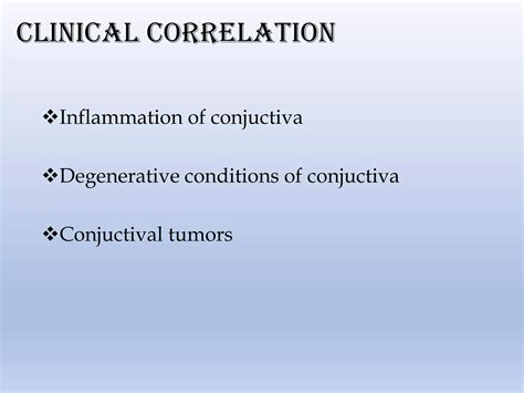 Anatomy of conjunctiva | PDF