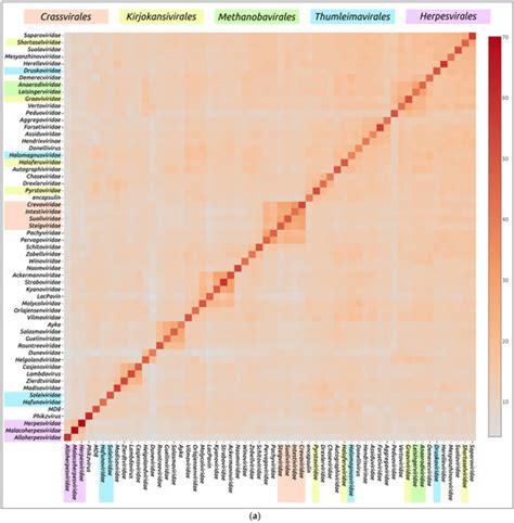 Use of an Integrated Approach Involving AlphaFold Predictions for the ...