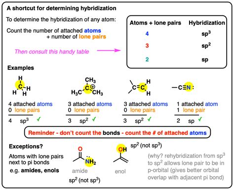 Image result for Hybridization Examples