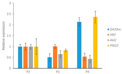 The Analysis of Genes and Phytohormone Metabolic Pathways Associated ...