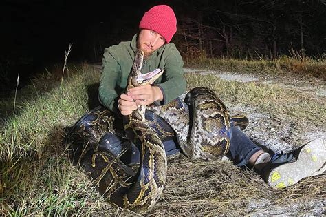 Image result for Florida Snake Hunt Python