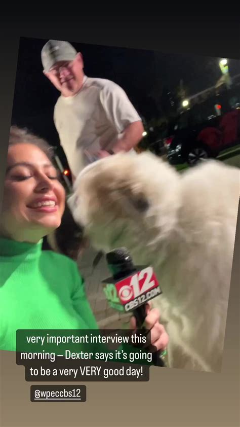 Image result for Python Catcher