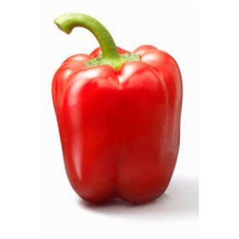 Capsicum Red Seeds Hybrids F1 Vegetable Seeds for Home Garden for ...
