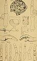 Image result for Software Design Subject Module