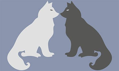 Image result for Cimplicity Icon