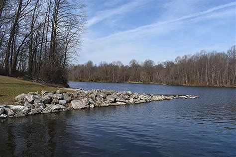 Image result for Nikon D5600 Tutorial Guide