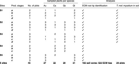 Image result for Sampling Design Computation of Samples Table