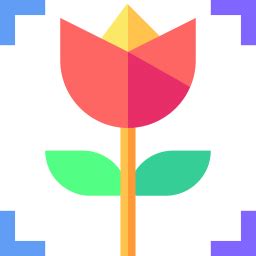 Download Free Aesthetic Icons in PNG & SVG