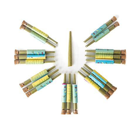 Buy Blunt Smoking Cone - Perfect Rolls (Pack of 20) | 100% Natural and ...