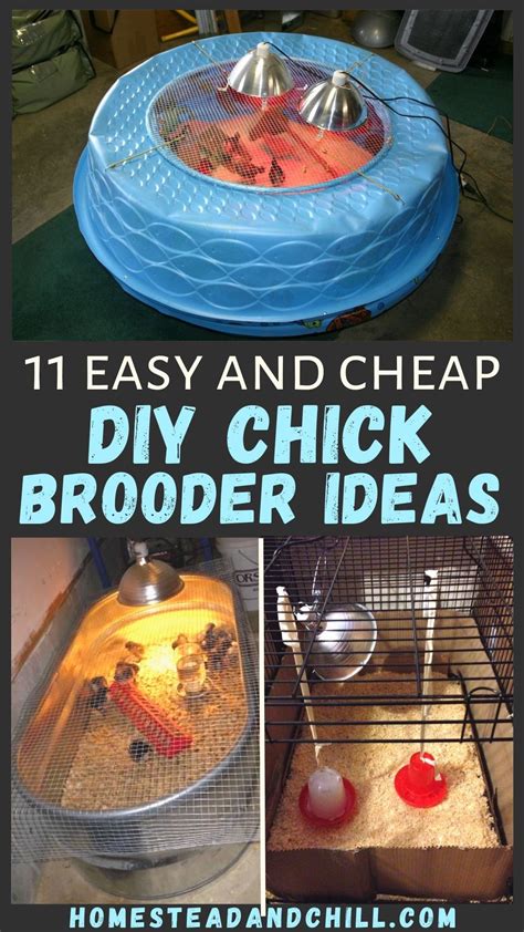 11 Easy DIY Chick Brooder Box Ideas with Photos | Chicken diy, Brooder ...
