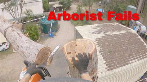 Logging Tree Fails Compilation 的图像结果