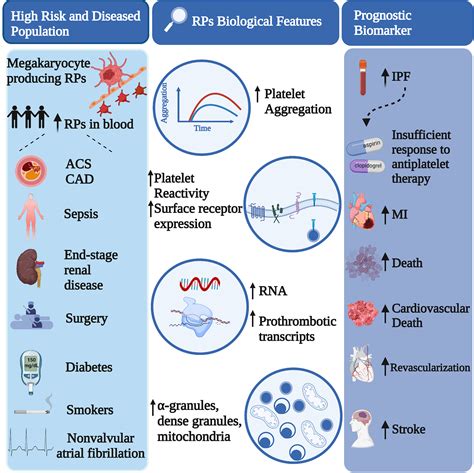 Arthritis Cause High Platelets at Jaxon Burnett blog