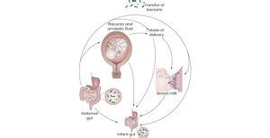 Probiotics and Pregnancy: How Yakult Supports Mother & Baby - Probiotic ...