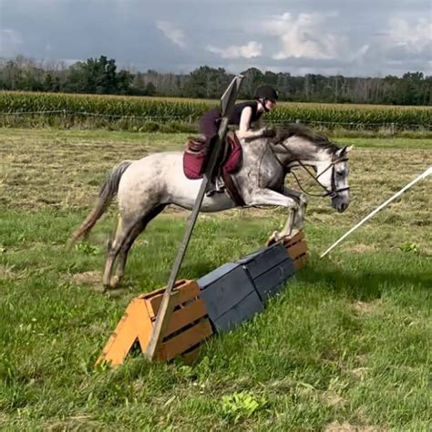 Leg Up Stables Intro Level Event 2025 & Dressage Show, 3589 Avon Rd ...