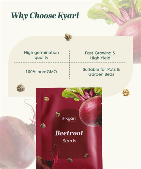 Beetroot Vegetable Seeds (Red, Pack of 2 g) - 70-80 Seeds – Kyari.co