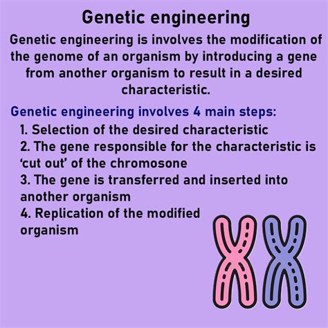 Basic Genetic Engineering GCSE Science OCR 的图像结果