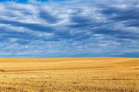 Other Services – Little Horn State Bank