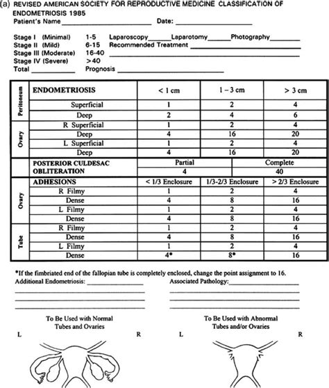 Image result for Computer Input and Output Devices Worksheet