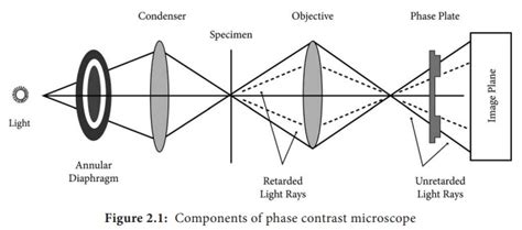 Image result for Phase Ring Alignment