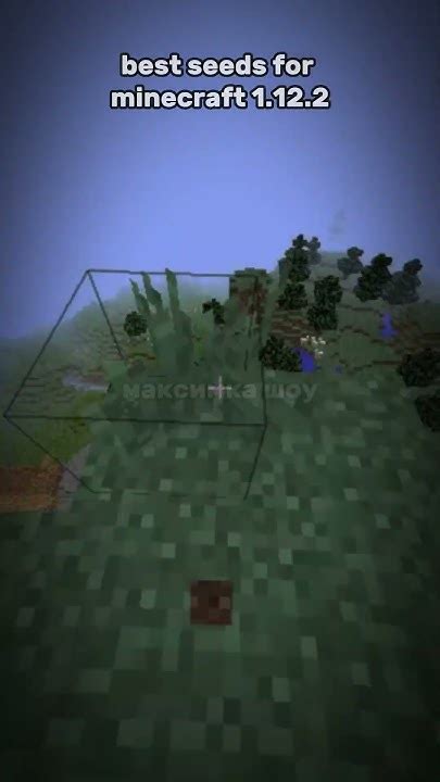 Seed Minecraft PC 1.12.2 的图像结果