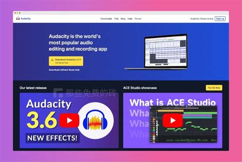 Audacity License 的图像结果
