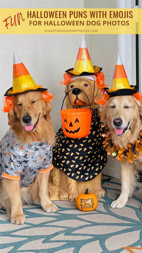 Dog Halloween Costume Meme at Donald Altman blog