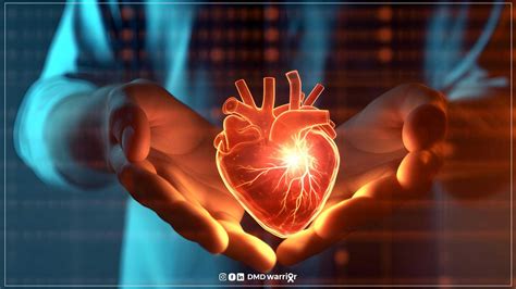 Capricor Therapeutics Announces FDA Acceptance and Priority Review of ...