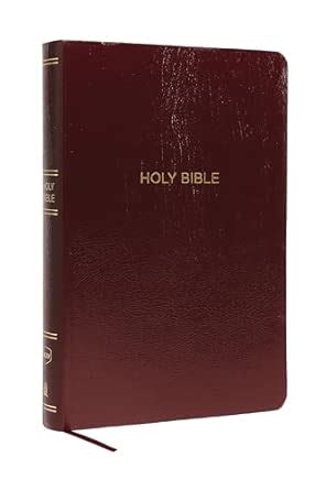 Buy NKJ REF BIB SUPER GP BRG LF Book Online at Low Prices in India ...