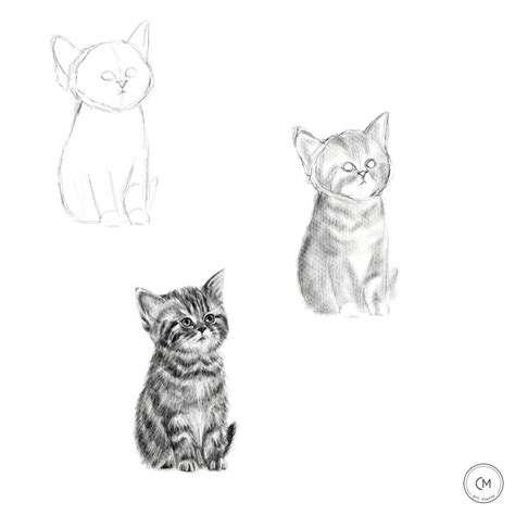 Image result for Cat Drawing Tutorial