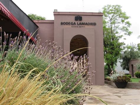 LAMADRID ESTATE WINES (2026) All You Need to Know BEFORE You Go (with ...