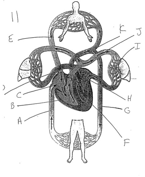 Cardiology 的图像结果