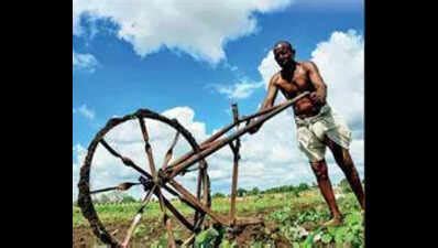 Bharosa from Jan 26, NIC tech partner | Hyderabad News - The Times of India