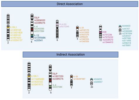 The Genetic Factors of the Airway Epithelium Associated with the ...