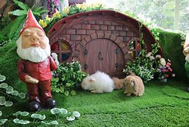 Image result for Rabbit Forest ZooChat