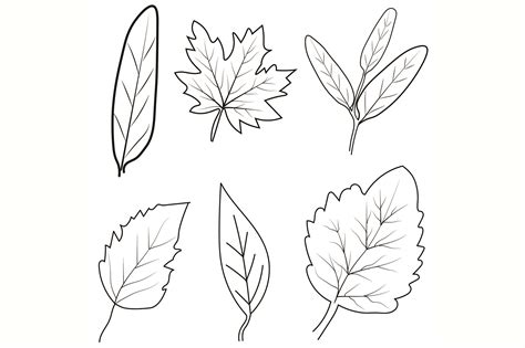Image result for Fall Leaves Drawing