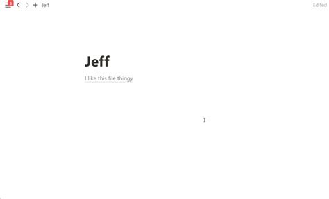 Notion Local Storage 的图像结果