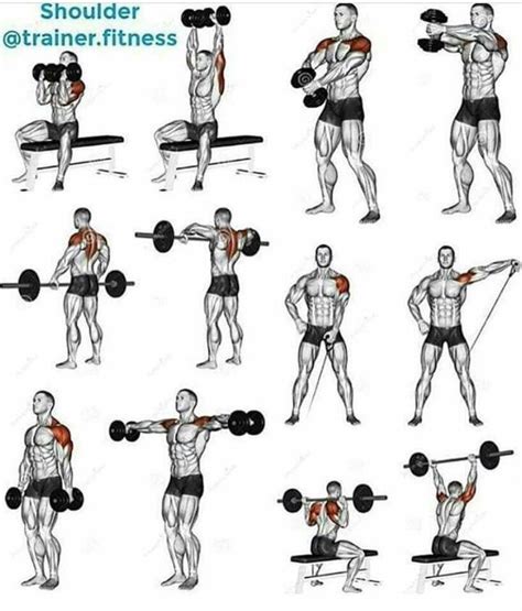 Image result for Programme Musculation Avancé