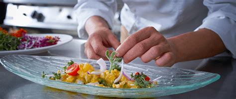 Image result for First Course Food Presentation