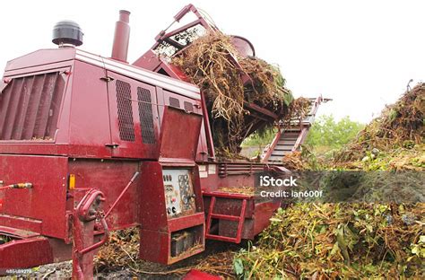 Image result for How to Use a Mulching Machine