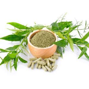 Boerhavia Diffusa Root Extract Manufacturer and Supplier from Palghar ...