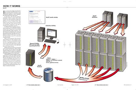 Blast Biotechnology Example 的图像结果
