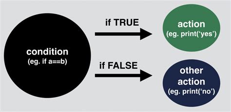 Use If Statements and Return Statement in Python Simple Function 的图像结果