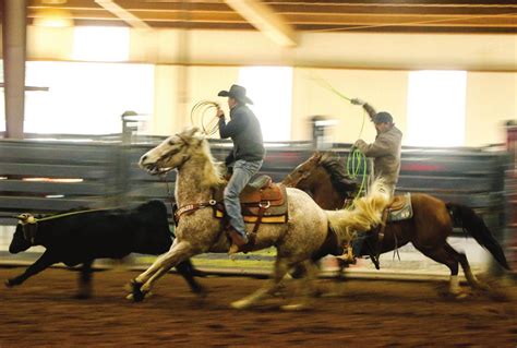 World Series Roping | Hamilton Herald-News