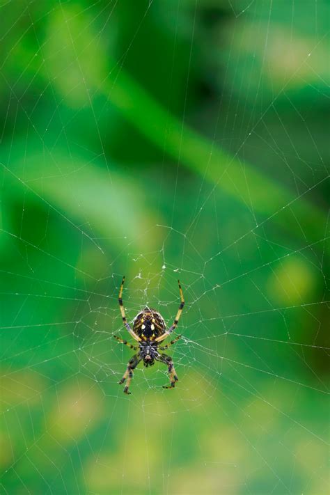 Image result for DevOps LinkedIn Cover Photo