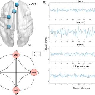 Spectral Dynamic 的图像结果