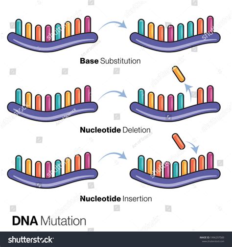 Mutation 的图像结果