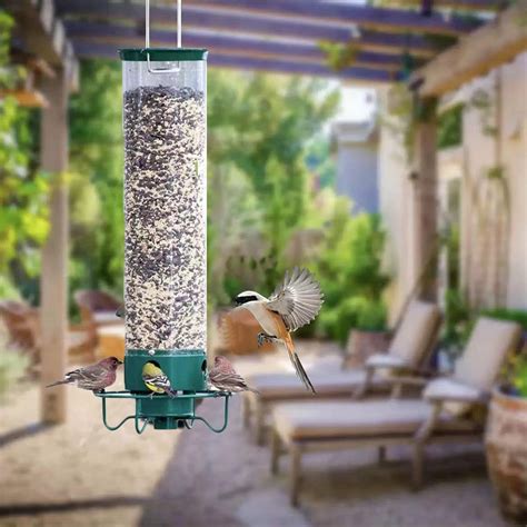 Amazon.com : JCAKES Squirrel-Proof Spinning Wild Bird Feeder,Spinning ...